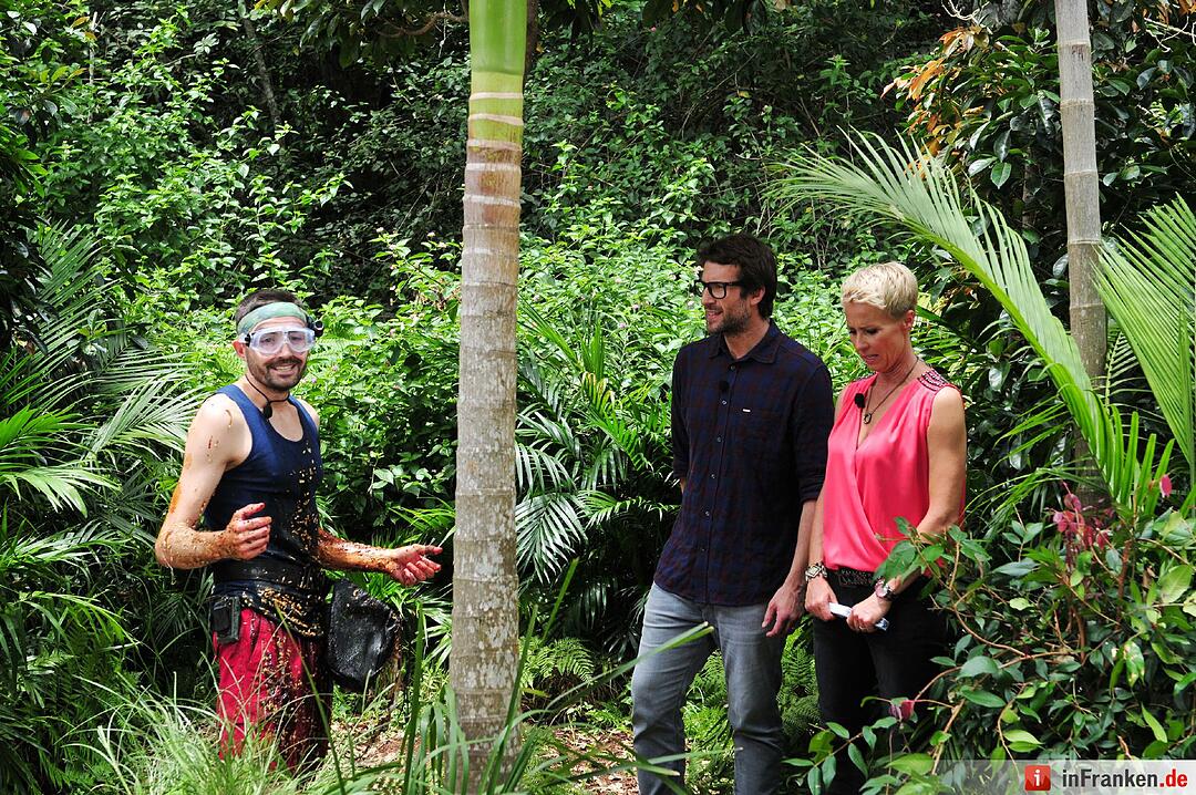 Ich bin ein Star - Holt mich hier raus!