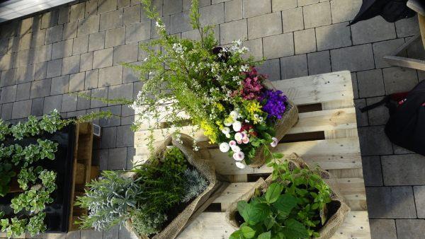 Eine ausrangierte Holzkiste kann schnell und einfach in einen Pflanzkasten umgestaltet werden. Foto: inFranken.de