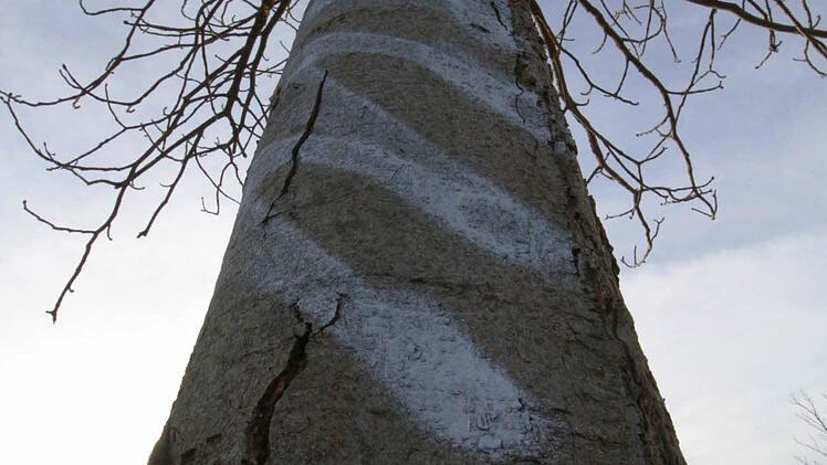 Auch der Baum wurde beschmiert.