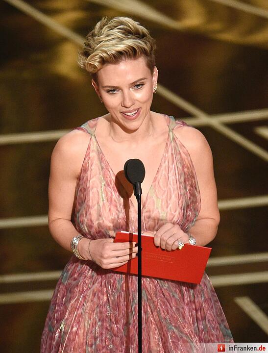 Die Oscar-Verleihung 2017