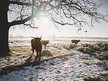 Kippt der Warm-Winter? Experte mit Prognose bis kurz vor Weihnachten