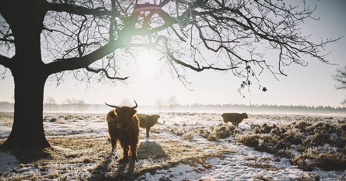 Kippt-der-Warm-Winter-Experte-von-Prognose-etwas-erschreckt-