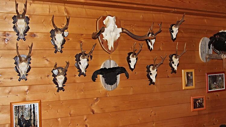 An mehreren Wänden im Haus Heim sind Trophäen zu finden. Oben in der Mitte das Stangengeweih des finnischen Elches. Foto: Helmut Will