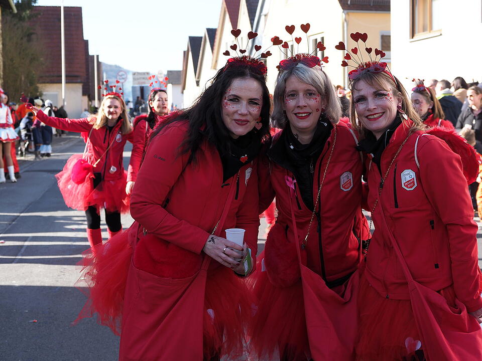 Buntes Faschingstreiben in Unterfranken!