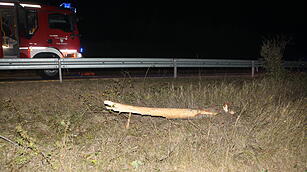 Schwerer Unfall bei Ansbach: 21-J&auml;hriger stirbt