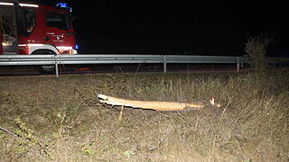 Schwerer Unfall bei Ansbach: 21-J&auml;hriger stirbt