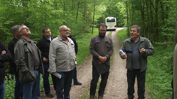 Exkursion in Oerlenbacher Gemeindewald mit Forstdirektor Wilhelm Schmalen und Förster Benjamin Winter. Foto: Stefan Geiger