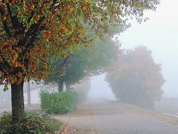 Herbst im Nebel Foto nata96lie/inFrankenpix