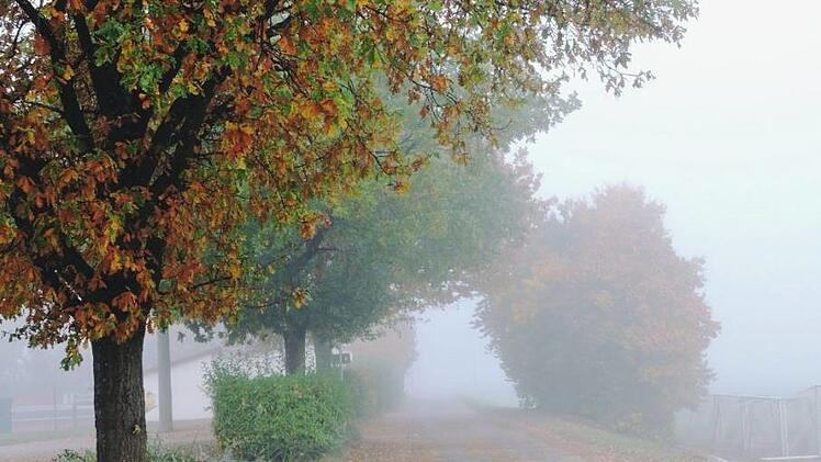 Herbst im Nebel Foto nata96lie/inFrankenpix