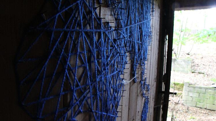 Die Schnitzeljagd führt in den Wald zwischen Uehlfeld und Vestenbergsgreuth. "The blue gallery": Der mysteriöse Künstler hat sich dort offenbar schon vor einem Jahr ein weiteres, verstecktes "Atelier" in einer verlassenen Hütte  eingerichtet. Foto: Christian Bauriedel