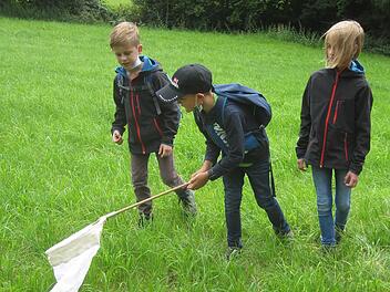 Mit Kescher und Becherlupe waren die Kinder auf der Jagd nach den verschiedenen Schmetterlingsarten, die auf den Wiesen und Trockenrasen am Rudelberg bei Schondra zu finden sind.  Foto: D.Türbl