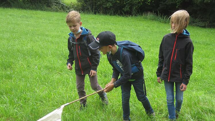 Mit Kescher und Becherlupe waren die Kinder auf der Jagd nach den verschiedenen Schmetterlingsarten, die auf den Wiesen und Trockenrasen am Rudelberg bei Schondra zu finden sind.  Foto: D.Türbl
