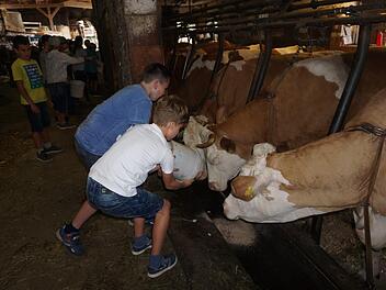 Die 4. Klasse der Grundschule Burglauer war, im Rahmen der bayernweiten Aktionswochen "Sommer.Erlebnis.Bauernhof" auf dem Erlebnisbauernhof von Manfred Werner in Unterweißenbrunn zu Gast.  Foto: Marion Eckert