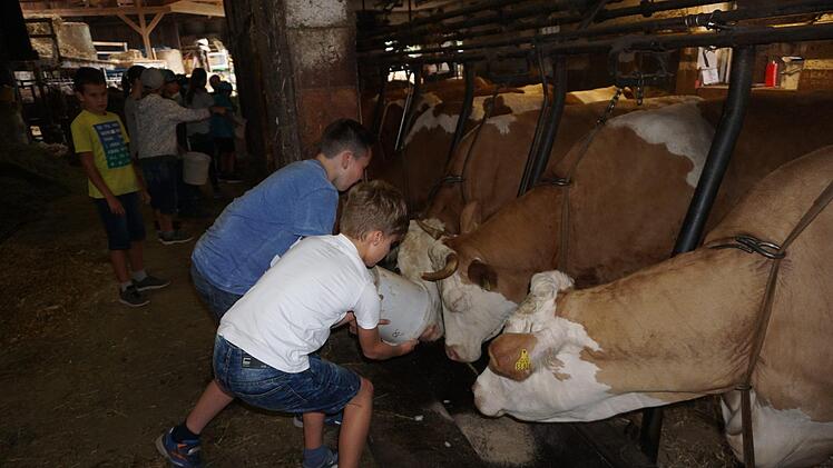 Die 4. Klasse der Grundschule Burglauer war, im Rahmen der bayernweiten Aktionswochen "Sommer.Erlebnis.Bauernhof" auf dem Erlebnisbauernhof von Manfred Werner in Unterweißenbrunn zu Gast.  Foto: Marion Eckert
