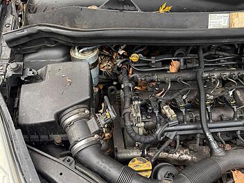 Katze aus Motorraum befreit