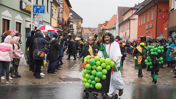 Faschingszug in Höchstadt  Foto: Theresa Schiffl