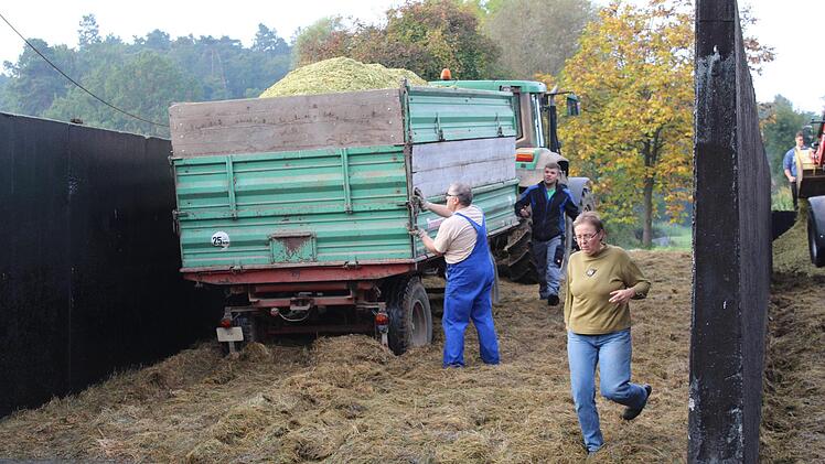 Impressionen von der Maisernte bei Ebensfeld. Foto: Markus Häggberg