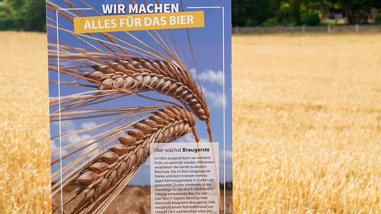 Eine der Infotafeln. Foto: Adriane Lochner