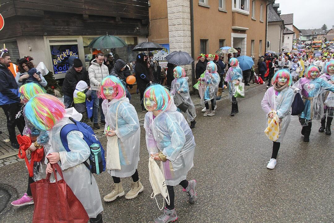 Stadtsteinacher Narrentreiben 2024