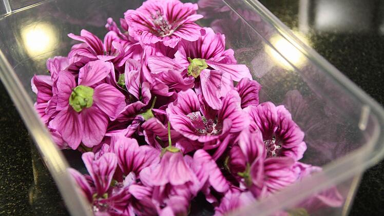 Essbare Dekoration: Malven