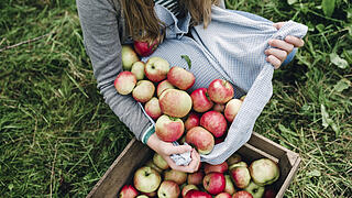 Young woman collecting apples in the fall