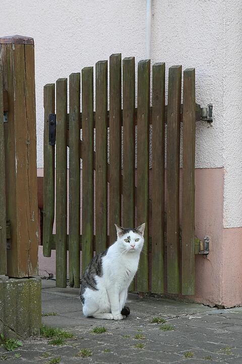 SoS Kairlilndach C-Ausgabe; Foto: Barbara Herbst