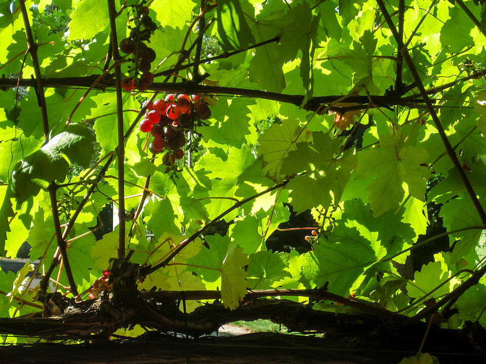 Fotos Konrad Thomann