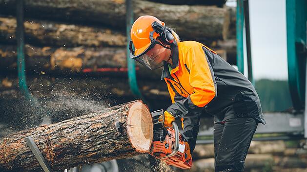 AdobeStock_Holzf&auml;llerin
