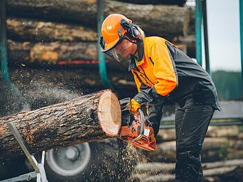 AdobeStock_Holzf&auml;llerin