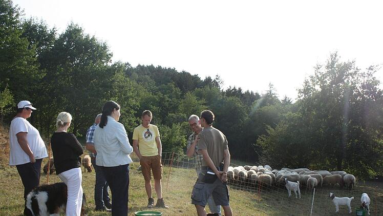 Eine "saubl&ouml;de Idee" f&uuml;hrte dazu, dass Johannes Geigerhilk (ganz rechts) jetzt Schafe und Ziegen f&uuml;r die Beweidung von Fl&auml;chen einsetzt.Maria L&ouml;ffler
