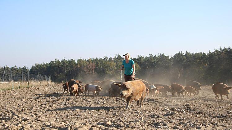 Johanna Berthold treibt die Schweine voran.Foto: Stefanie Gleixner