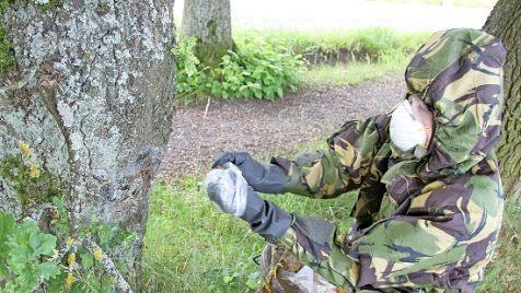 Wenn sich die Nester der Eichenprozessionsspinnerraupen in den unteren Bereichen befinden, sollen in Neudrossenfeld Bauhofmitarbeiter die Entsorgung übernehmen. Fotos: Sonny Adam