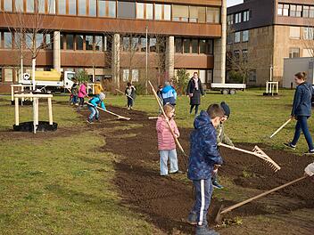 Bamberger Klima-Challenge: Kindertagesstätten und Grundschulen im Einsatz für den Klimaschutz
