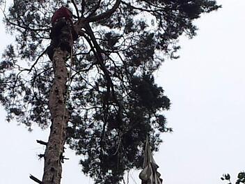 Ein Mitglied der Bergwacht birgt einen Fallschirm. Foto: Bergwacht