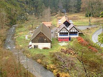Der Waffenhammer im Steinachtal steht zum Verkauf. Foto: privat