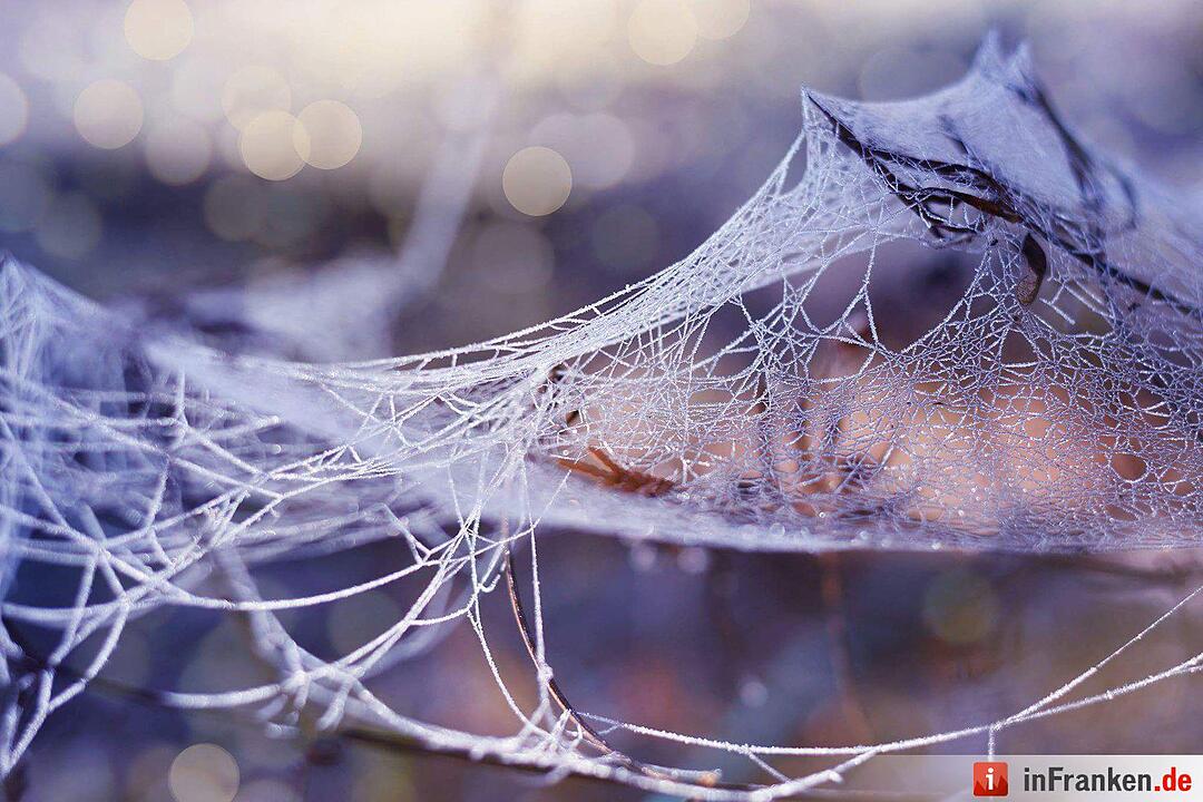 Eis und Schnee in Franken - die schönsten Winterleserfotos