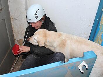 Die Labrador-Hündin  hat "Opfer" Anke Braun aufgestöbert und ist ganz scharf auf die Belohnung. Fotos: Benedikt Borst