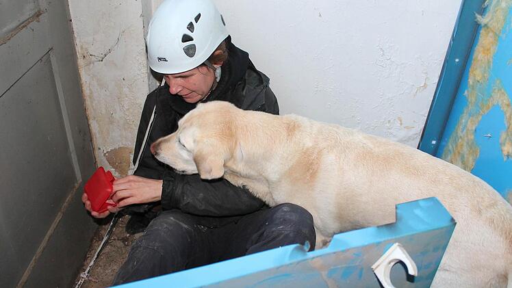 Die Labrador-Hündin  hat "Opfer" Anke Braun aufgestöbert und ist ganz scharf auf die Belohnung. Fotos: Benedikt Borst