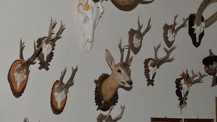 Im Jagdzimmer von Schloss Rügland. Foto: Ronald Rinklef