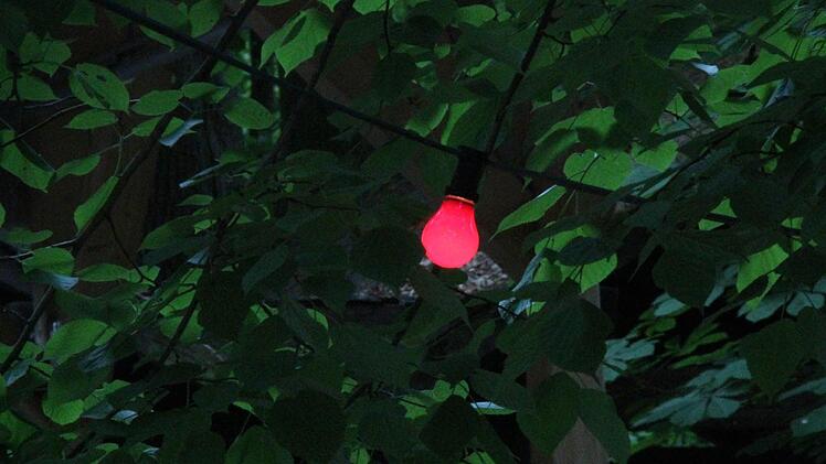 Foto: Josef Hofbauer