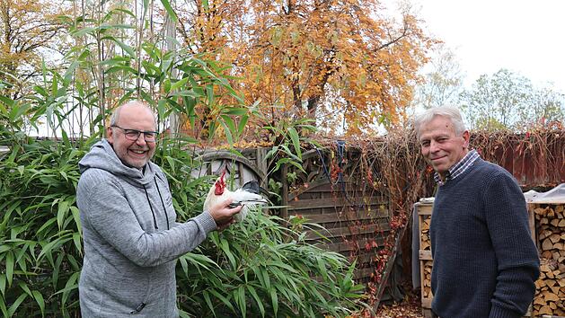 Auch wenn neben der Kreisschau nun auch noch die Gruppenschau abgesagt werden muss, hat Norbert Wittmann (links) viel Spa&szlig; und zeigt GZV-Kassier Dieter Fischer einen seiner Chabo-H&auml;hne.  Foto: Alexandra Kemnitzer