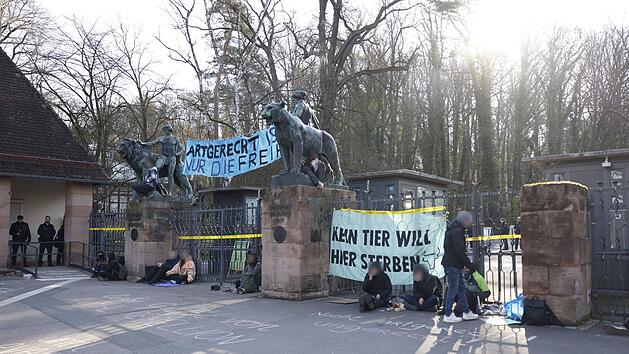 Tierschutzaktivisten blockieren Eingang zum Tiergarten N&uuml;rnberg