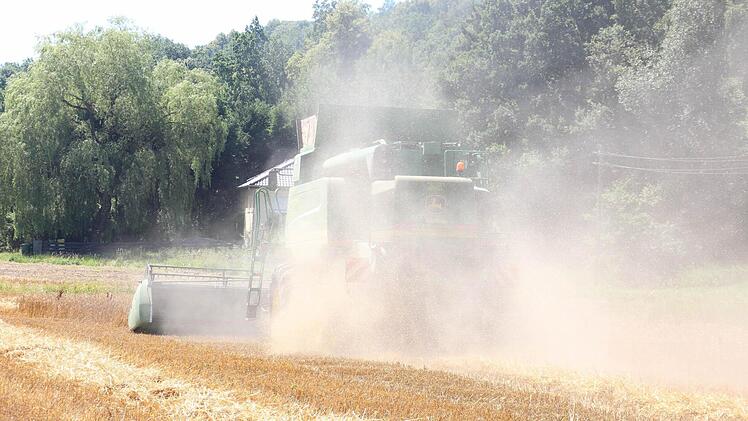 Der Mähdrescher zieht bei Dörfles eine riesige Staubwolke hinter sich her.  Foto: Friedwald Schedel