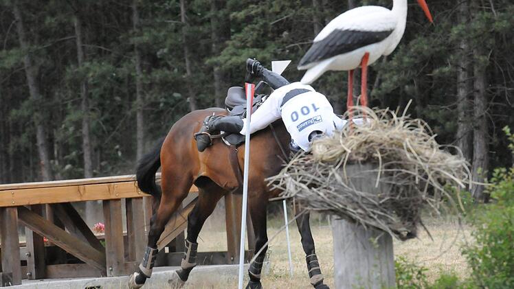 Max Ort vom RFV Sulzthal. Foto: ssp