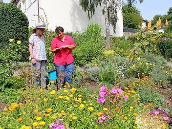 Beate Ritter-Schilling (rechts) und Petra Wissen betrachten die Gewürze und ernten Bohnen, Kohlrabi und anderes Gemüse. Foto: Julia Raab