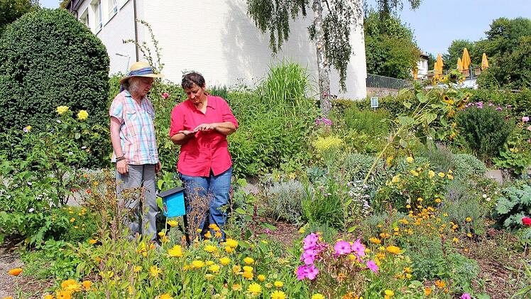 Beate Ritter-Schilling (rechts) und Petra Wissen betrachten die Gewürze und ernten Bohnen, Kohlrabi und anderes Gemüse. Foto: Julia Raab