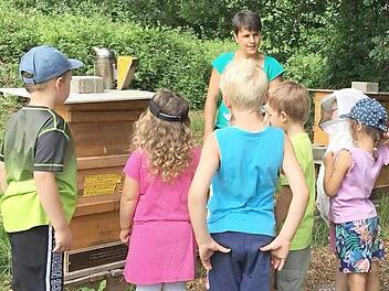 Besuch bei der Imkerin Michaela Seufert in Untereschenbach. Foto: Beate Weimar Stockmann