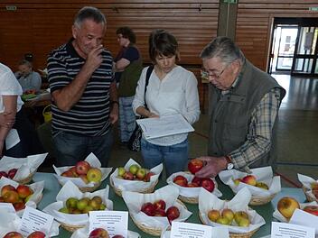 Kreisvorsitzender Günter Reif (links) im Gespräch mit zwei Gästen über die Vielfalt der Apfelsorten des Oberlandes.Klaus-Peter Wulf