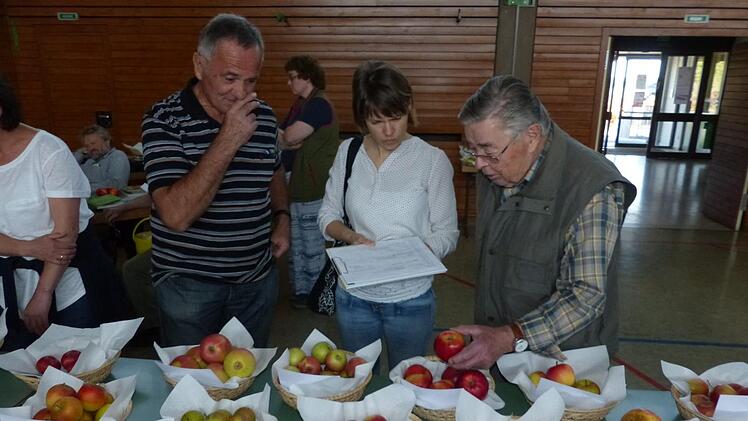 Kreisvorsitzender Günter Reif (links) im Gespräch mit zwei Gästen über die Vielfalt der Apfelsorten des Oberlandes.Klaus-Peter Wulf