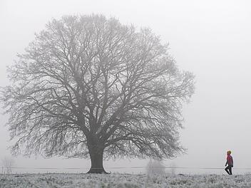 Zwischen Schnee, Graupel und Regen - Niederschläge  bestimmten dasd Wetter in Bayern in den letzten Tagen. Nun könnte sich die LAge etwas entspannen. Symbolbild:  Ingo Wagner/dpa